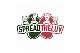create pet, veterinary and animal care logo design