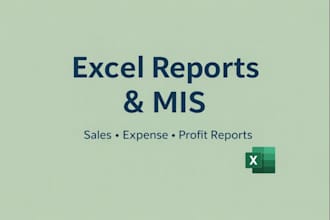 create professional excel reports, mis, and dashboards