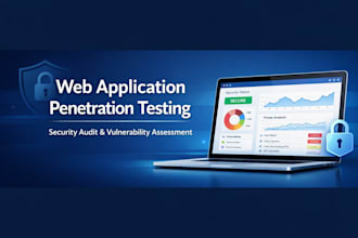 perform web application penetration testing and security audit