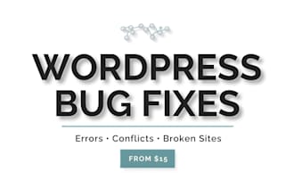 fix wordpress errors, bugs, and technical issues