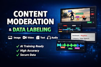professional content moderation and data labeling