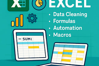 custom excel macros, tailored formulas pivot solutions