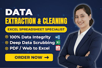 do expert excel spreadsheet data extraction, cleaning, and data integrity