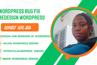 fix wordpress issues, wordpress redesign, wordpress bug fix