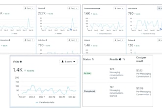 run high converting facebook and instagram ads meta ads management