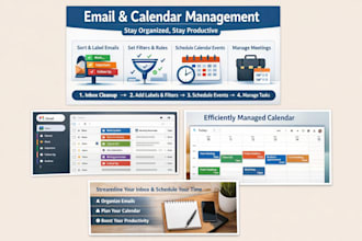 provide efficient email organization and calendar scheduling for you