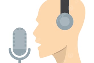 do professional hindi voice over for your videos