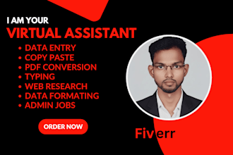 data entry, copy paste, pdf to excel,word, image to pdf,excel, typing