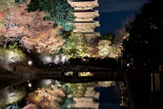 create your japan plan with local