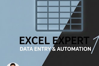do fast data entry,excel spreadsheet,PDF to excel