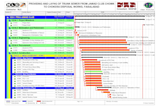 create professional project schedules using primavera p6