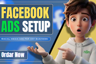 set up and manage facebook ads campaign