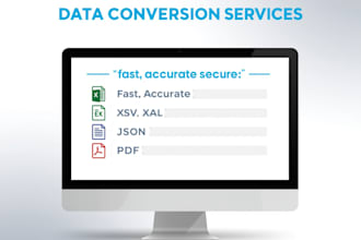 professional data conversion excel CSV XML json PDF