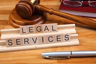 draft professional legal petitions, applications, and court documents