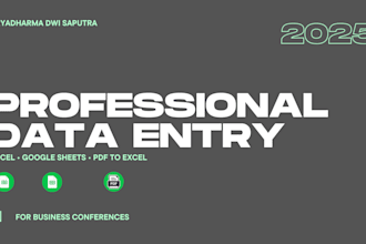 professional data entry excel, google spread sheets, and PDF