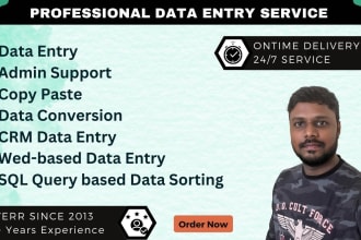 do data entry in excel, word and file conversion