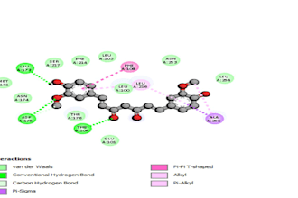 do molecular docking of ligands with target proteins