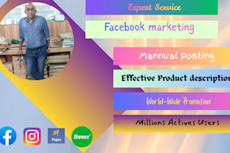 professional facebook marketing for USA business