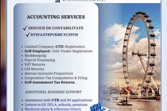 do professional accounting and payroll services