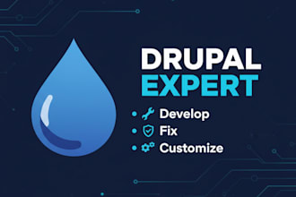 provide expert drupal development, customization, and bug fixing