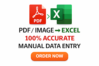 convert PDF or image to excel data entry accurately