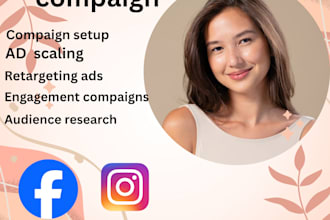 setup fb and instagram ads to increase traffic leads and sales