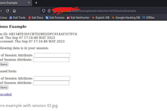 perform penetration testing and security assessment report