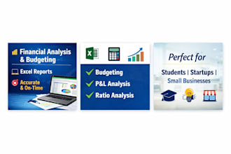 do financial analysis, budgeting and basic excel work for you