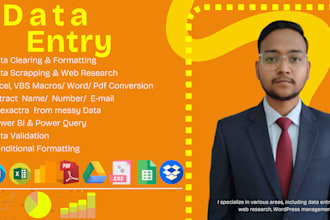 data entry copy paste and web research