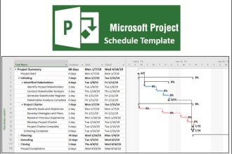 provide one microsoft project schedule template