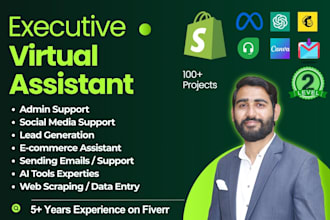 be executive virtual assistant personal virtual assistant administrative VA
