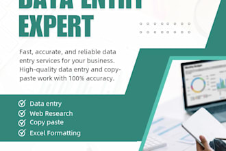 do professional data entry and copy paste work