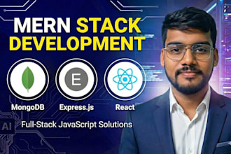 build a  mern stack web application