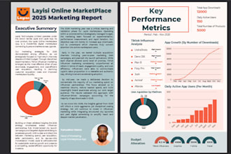 do data analysis and data visualization reports