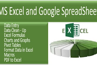 be your excel expert for formulas, data analysis and reports