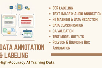 do accurate data annotation, data labeling for ml projects