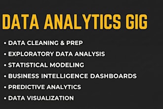 be your go to data analytics lead person