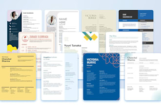 create a modern professional resume or CV design