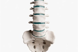 create anatomically accurate 3d printable medical models