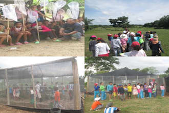 professional butterfly farming and butterfly garden consultancy