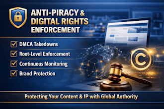 do professional dmca takedown to remove infringing content