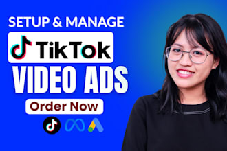 set up and manage tiktok ads campaign with tiktok video ads