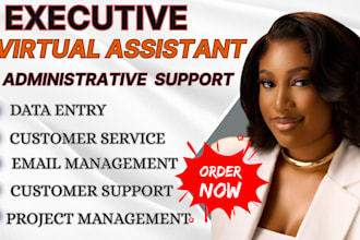 executive virtual assistant admin support administrative assistant data entry