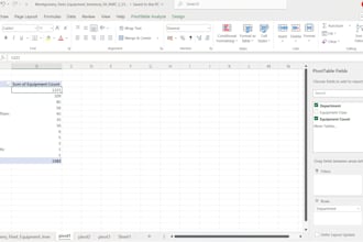 provide excel data analysis, clean data, and make charts