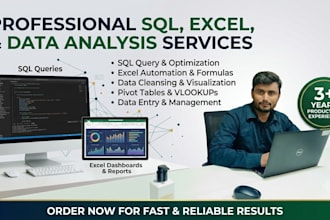 do sql query, database project and data analysis