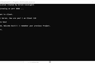 deliver working client server cpp code
