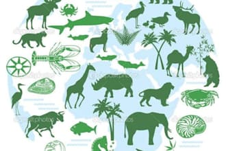 help in biology zoology botany