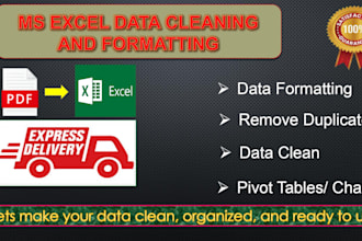 make data entry, clean, split, format and pivot table