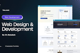 develop a professional mern stack web application or website