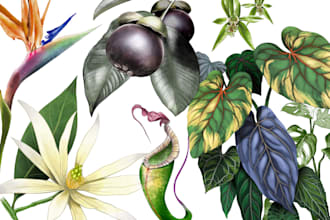 draw realistic botanical illustrations